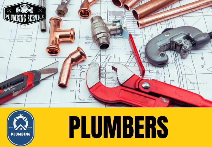  plumber Snodland